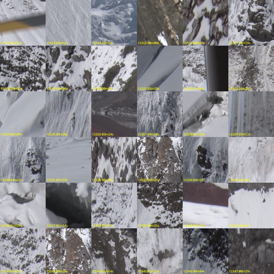 montage_42.jpg