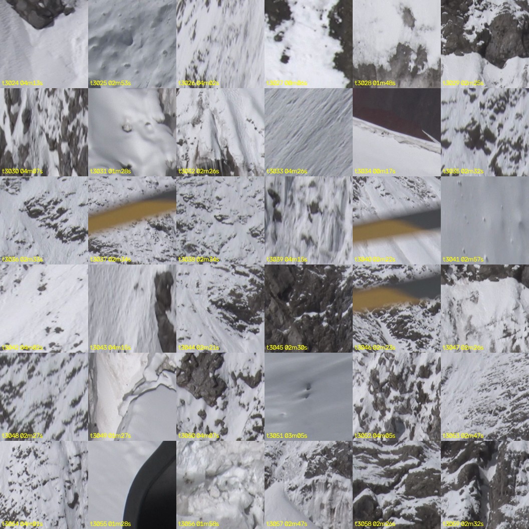 montage_84.jpg
