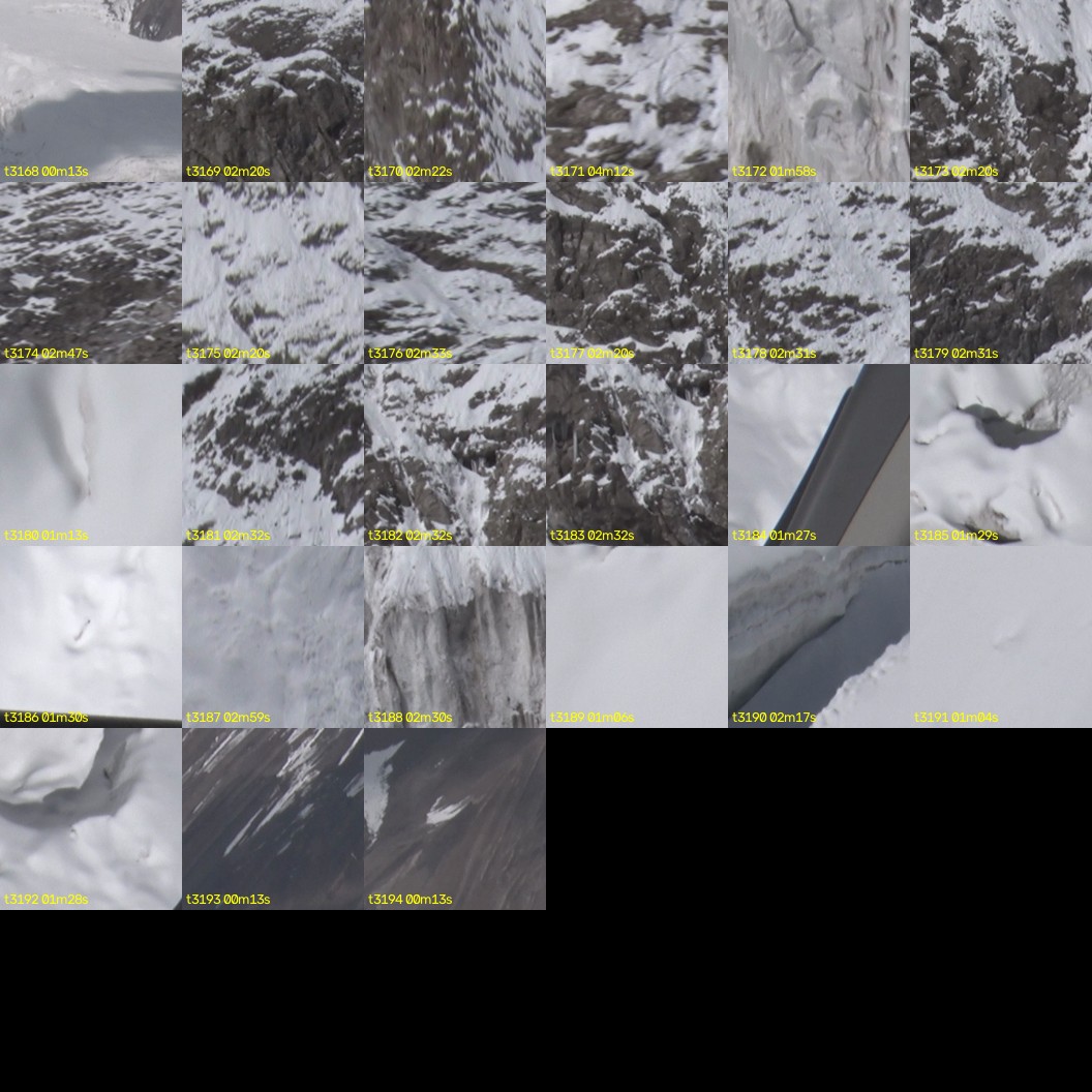 montage_88.jpg